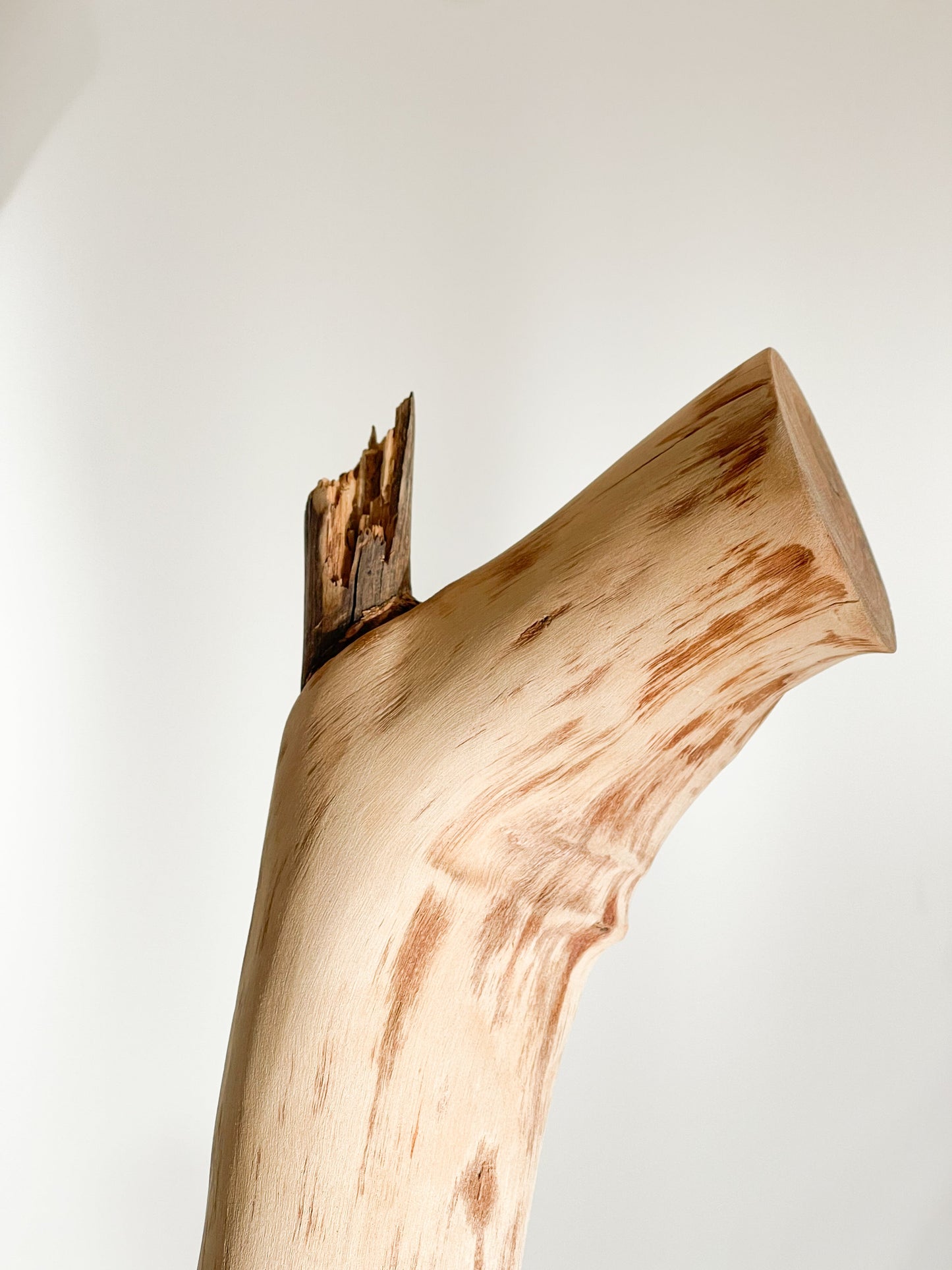 Charming Floor Lamp